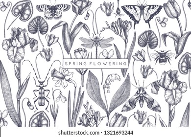 Spring flowers background. Hand drawn insects illustration. Floral design. Botanical drawings with butterflies. Perfect for branding, greeting card, invitation, wrapping paper, banner. Vintage art.