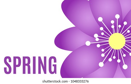 Spring Flowers Background with Isolated Spring Flowers in Minimal Style. Vector Snowdrops. Beautiful Background with Text for Card, Invitation, Brochure, Banner, Flyers, Creative Design. Flowering.