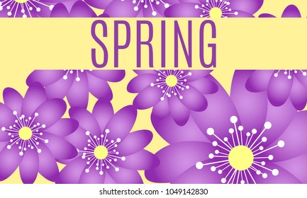 Spring Flowers Background with Isolated Spring Flowers in Minimal Style. Vector Snowdrops. Beautiful Background with Text for Card, Invitation, Brochure, Banner, Flyers, Creative Design. Flowering.