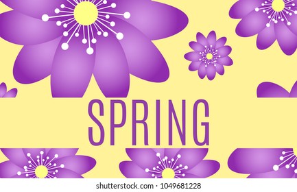 Spring Flowers Background with Isolated Spring Flowers in Minimal Style. Vector Snowdrops. Beautiful Background with Text for Card, Invitation, Brochure, Banner, Flyers, Creative Design. Flowering.