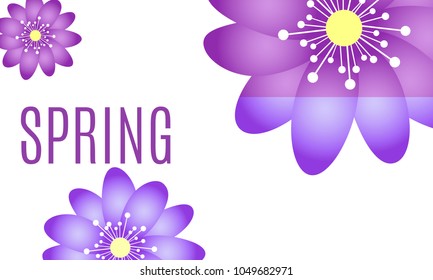 Spring Flowers Background with Isolated Spring Flowers in Minimal Style. Vector Snowdrops. Beautiful Background with Text for Card, Invitation, Brochure, Banner, Flyers, Creative Design. Flowering.
