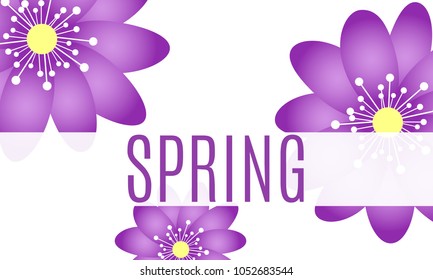 Spring Flowers Background with Isolated Spring Flowers in Minimal Style. Vector Snowdrops. Beautiful Background with Text for Card, Invitation, Brochure, Banner, Flyers, Creative Design. Flowering.