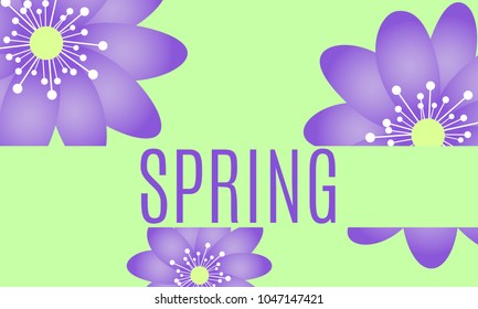 Spring Flowers Background in Minimal Style. Vector Snowdrops. Beautiful Background with Isolated Spring Flowers and Text for Card, Invitation, Brochure, Banner, Flyers, Creative Design. Flowering.