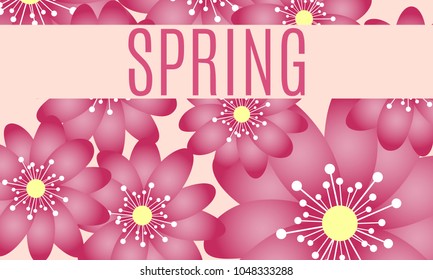 Spring Flowers Background in Minimal Style. Vector Snowdrops. Beautiful Background with Isolated Spring Flowers and Text for Card, Invitation, Brochure, Banner, Flyers, Creative Design. Flowering.