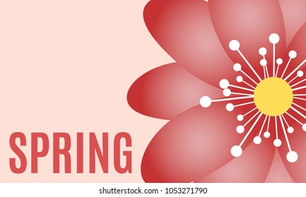 Spring Flowers Background in Minimal Style. Vector Snowdrops. Beautiful Background with Isolated Spring Flowers and Text for Card, Invitation, Brochure, Banner, Flyers, Creative Design. Flowering.