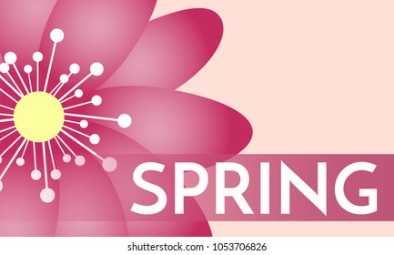 Spring Flowers Background in Minimal Style. Vector Snowdrops. Beautiful Background with Isolated Spring Flowers and Text for Card, Invitation, Brochure, Banner, Flyers, Creative Design. Flowering.