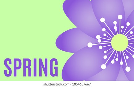 Spring Flowers Background in Minimal Style. Vector Snowdrops. Beautiful Background with Isolated Spring Flowers and Text for Card, Invitation, Brochure, Banner, Flyers, Creative Design. Flowering.