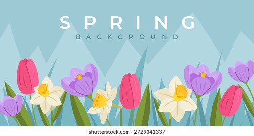 Spring flowers background with tulips, daffodils and crocuses. Vector template for poster, web, banner, promotion