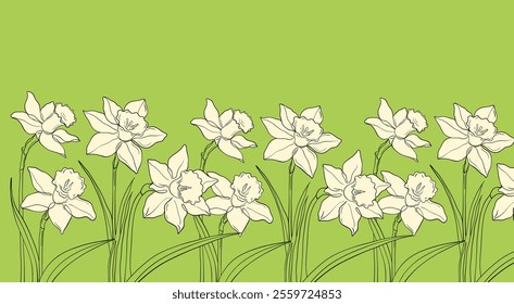 Spring flowers background. Vector floral background with blooming daffodils flowers. Narcissus flower on a green background. 