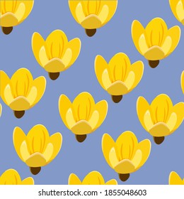 Flores de primavera. Ilustración vectorial.
