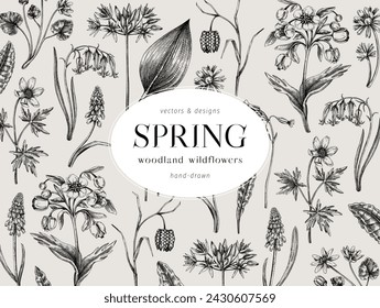 Fondo de flores de primavera. Bosquejos de flores silvestres. Diseño botánico, plantilla vintage, marco floral. Ilustraciones vectoriales dibujadas a mano, NO AI generado