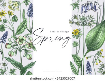 Spring flowers background. Woodland wildflower sketches. Hand-drawn vector illustrations. Floral frame design in color.  NOT AI