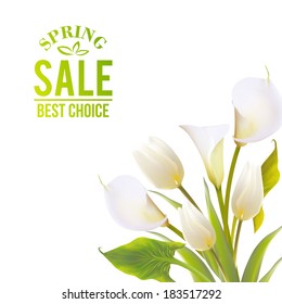 Spring flowers backround with text lettering. Vector illustration.