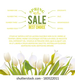 Spring flowers backround with text lettering. Vector illustration.