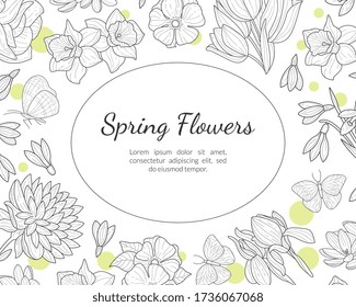 Plantilla de banner de flores de primavera con plantas de pradera silvestres y patrón de hojas y espacio para la ilustración de vectores dibujados a mano de texto