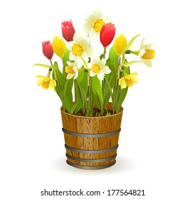 Spring flowers in a barrel. vector illustration