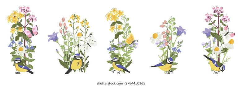spring flowers and bird, vector drawing wild plants and blue tit at white background, set of floral composition, bellflower, germander speedwell, thyme and daisy, hand drawn botanical illustration