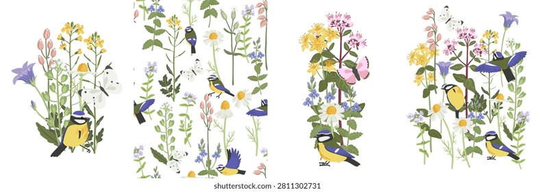 spring flowers and bird, vector drawing wild plants and blue tit at white background, set of floral composition, bellflower, germander speedwell, thyme and daisy, hand drawn botanical illustration