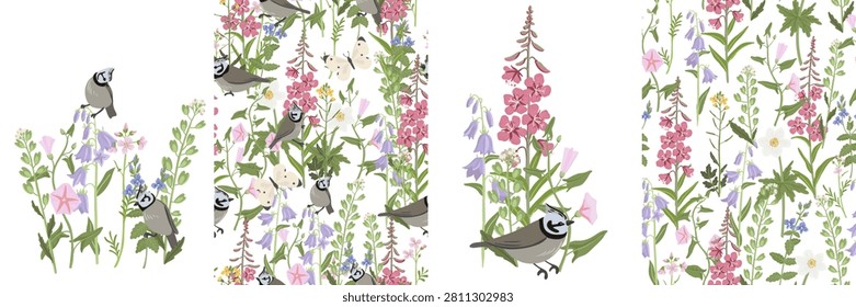 spring flowers and bird, vector drawing wild plants and European crested tits at white background, set of floral compositions, hand drawn botanical illustration