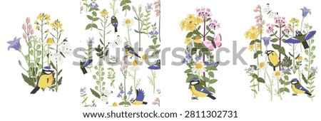 spring flowers and bird, vector drawing wild plants and blue tit at white background, set of floral composition, bellflower, germander speedwell, thyme and daisy, hand drawn botanical illustration