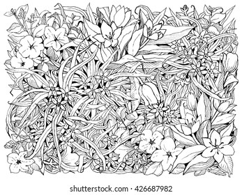 Spring flowers. Black and white vector illustration.