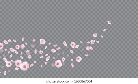 Spring Flowers Blooming. Abstract Closeup On Soft Transparent Backdrop. Flying Petals In Realistic Style. Pink on Transparent.