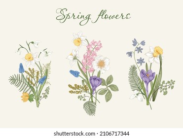 Spring flowers. Blooming  garden. Vector illustration.