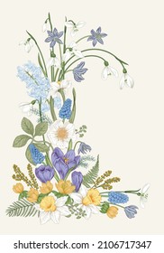 Spring flowers. Blooming  garden. Vector illustration.