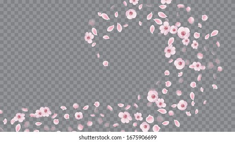 Spring Flowers Blooming. Realistic Flying Petals For Banner Design. Great Design For Any Purposes. Pink on Transparent.