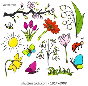 Spring Flowers Blooms Vector Colorful Drawing