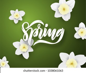 Spring flowers blossom trendy flat lay vector background. EPS10
