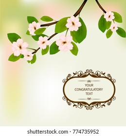 Spring flowers blossomed on the tree.