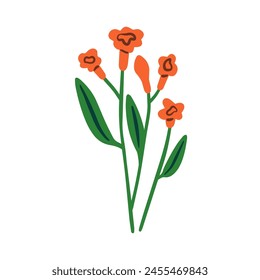 Spring flowers, blossomed plants. Delicate floral bloom, stems with leaves. Beautiful summer wildflowers, fragile buds. Botanical natural flat graphic vector illustration on white background