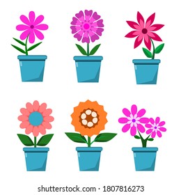 Spring flowers in blue pots, vector image isolated on white background .