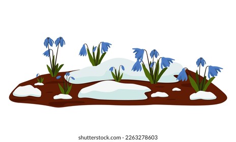 Spring flowers blue snowdrops grow from under the melting snow. The first plants after winter. Vector illustration.