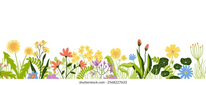 Spring flowers border, floral, summer, vector flat illustration