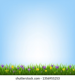 Spring Flowers Border With Grass With Gradient Mesh, Vector Illustration