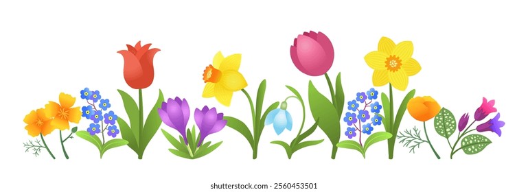 Spring flowers border isolated. Vibrant floral frame design element. Early blossom springtime flower bloom. Crocuses, snowdrop, daffodils, tulips, forget-me-nots, lungwort. Vector illustration.