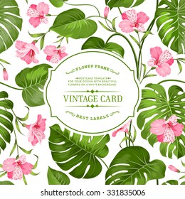 Spring flowers bouquet for vintage card. Card with template text and flower pattern on background. Border of flowers in vintage style. Texture of Alstroemeria flowers on vintage card. 