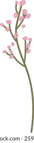 Spring Flowers Branch Vector Illustration