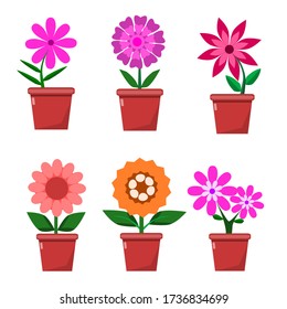 Spring flowers in brown pots, vector image isolated on white background.