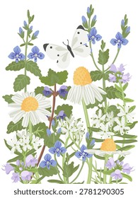 spring flowers and butterfly, vector drawing wild plants and insect at white background, floral composition, hand drawn botanical illustration