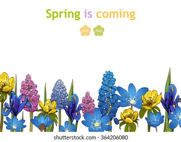 Spring flowers card backgrounds. Hand drawn vector illustration