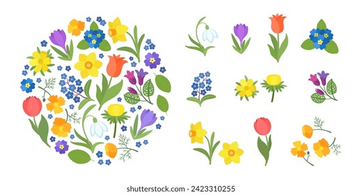 Vector de dibujos animados de primavera. Iconos florales primaverales brillantes, aislados y dispuestos en un marco circular. Ilustración minuciosa florecimiento de plantas de primavera temprana - nevada, daffodil, crocus, tulipán.