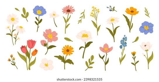 Spring flowers. Cartoon wildflowers chamomile, tulip and forget-me-not, cornflower and sage with leaves, floral botanical elements. Blossom of garden flower vector set. Romantic blooming bouquet