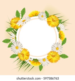 Spring flowers chamomile, dandelion, cartoon style, isolated, vector, illustration