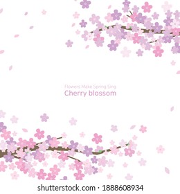 Spring flowers, cherry blossoms background vector illustration