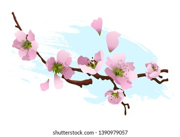 Spring flowers. Cherry blossoms. Pink flowers
