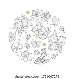 Flores de primavera de forma circular, plantas de pradera silvestres y hojas de la plantilla de pancarta de la mano de vectores dibujados Ilustración