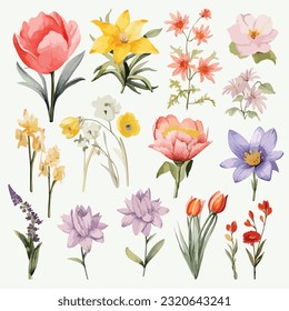 A spring flowers clipart Vector